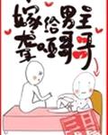知青嫁给聋哑男配的小说